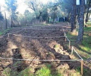 Huerto Urbano Majadahonda