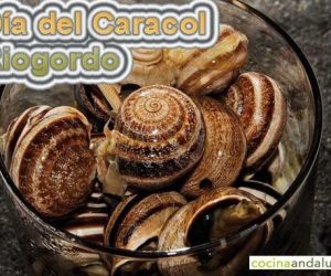 Día del Caracol Riogordo 2016