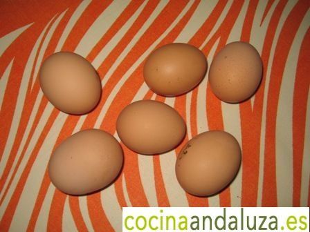 Huevos de Campo de gallinas libres