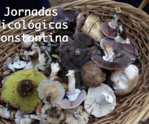 Jornadas Micológicas Constantina