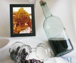 Cartel del XXI Día de la pasa de El Borge 2016