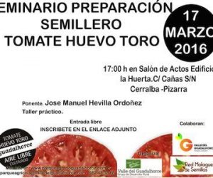 Aprende a cultivar tomates huevo de Toro